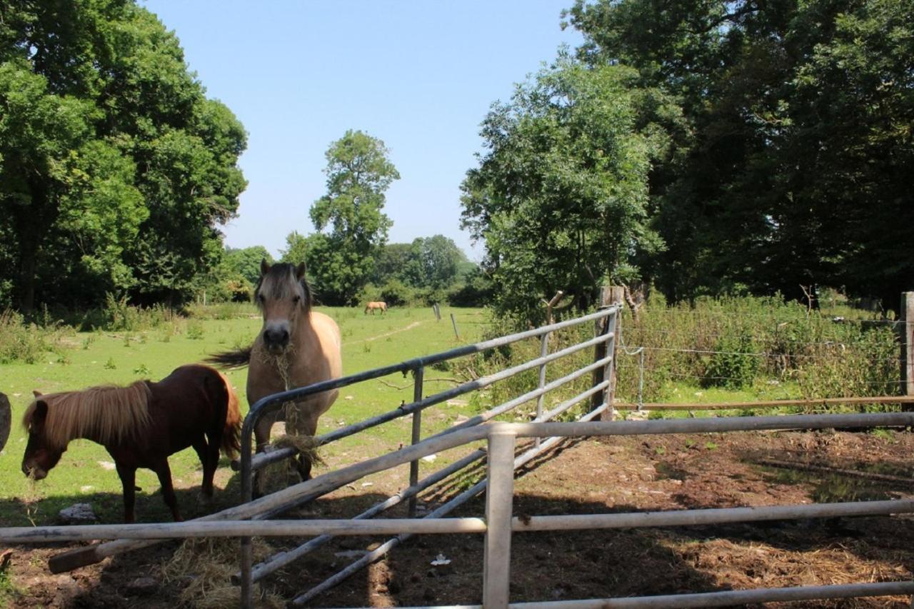 La Ferme De La Croix Villa Saint-Quentin-Lamotte-Croix-au-Bailly Exteriör bild